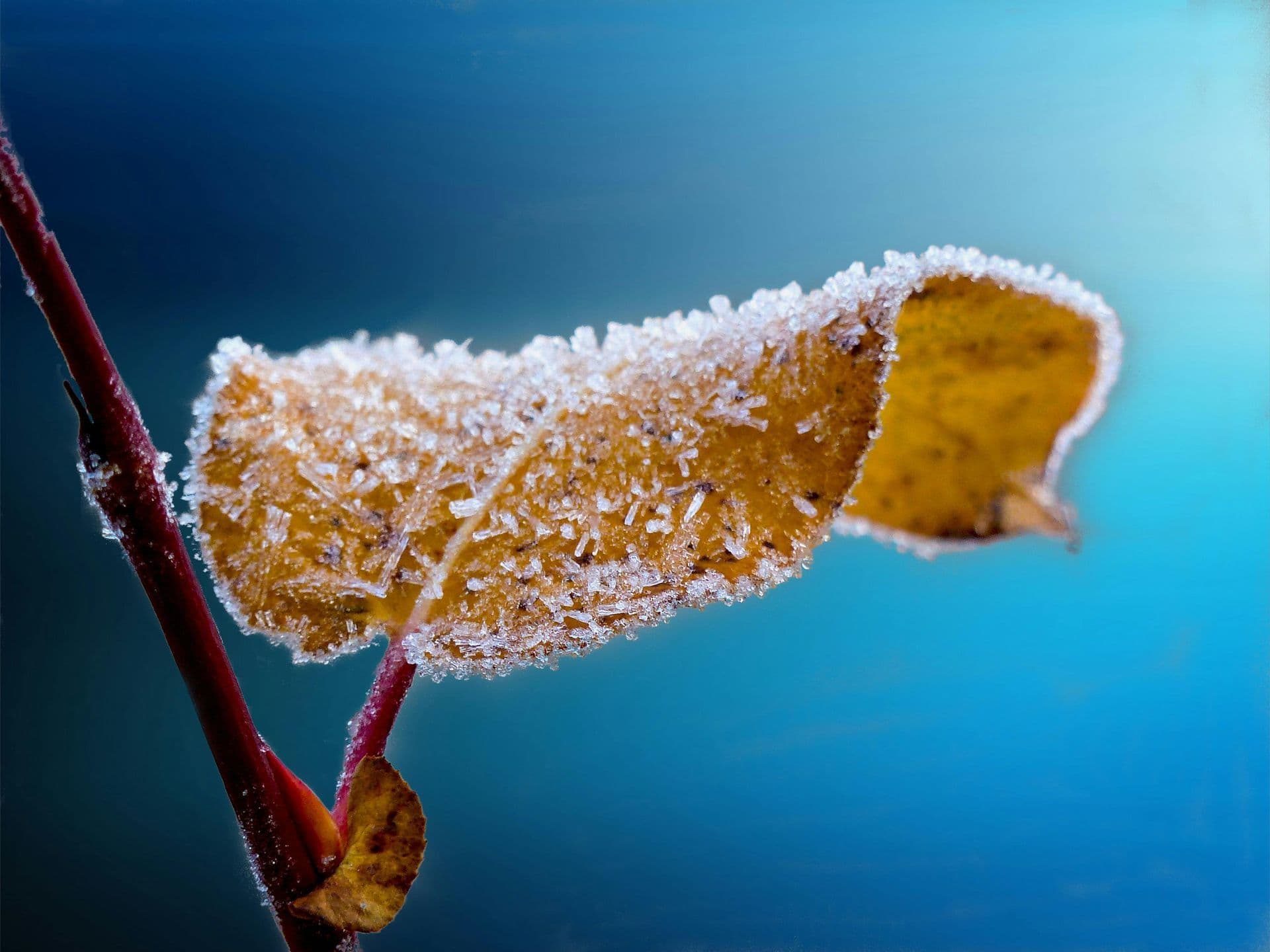 Casa e Inverno: I Danni Più Comuni Causati dal Freddo