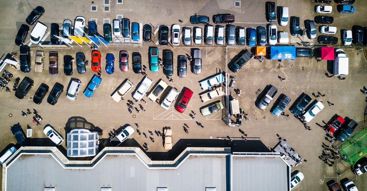 Tutto su Come Sospendere la Tua Polizza Auto: Regole