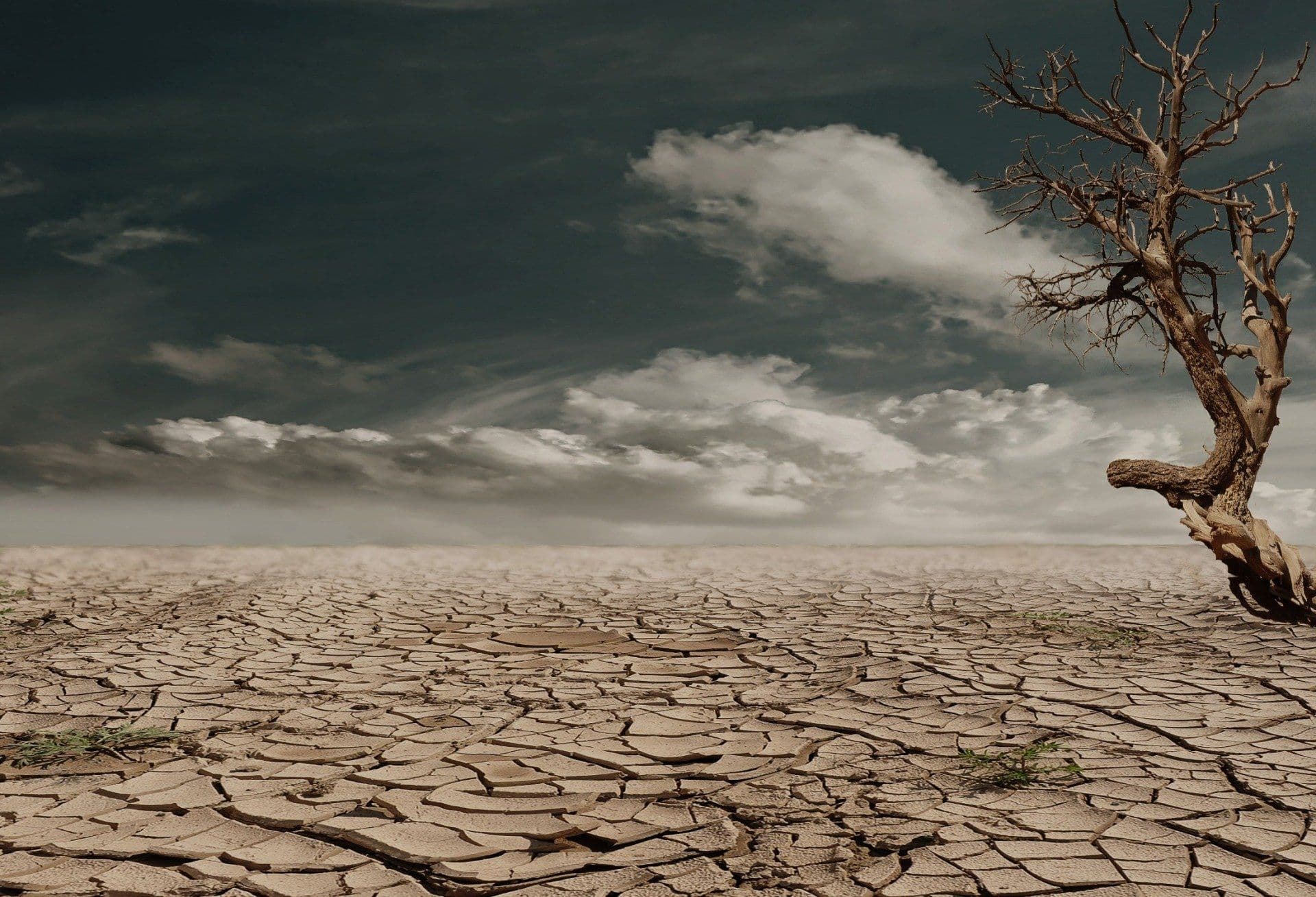 Le nuove zone a rischio climatico in Italia: Come cambiano