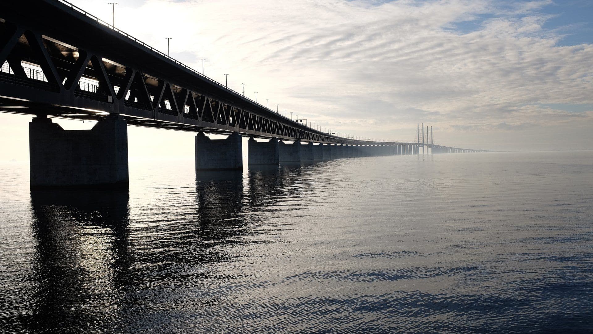 Il Collasso del Ponte di Tacoma Narrows nel 1940